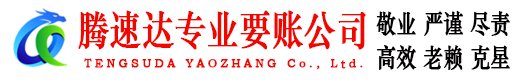 滨海新区腾速达清债公司